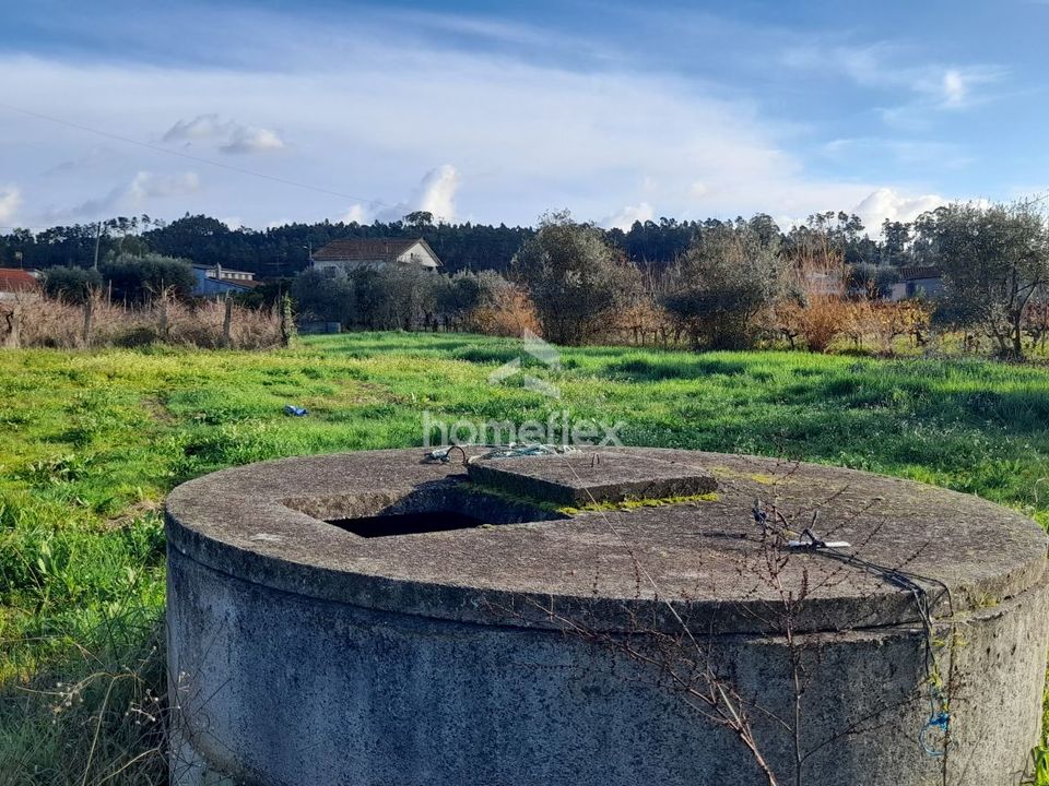 Helårsgrund i Soure, Coimbra - foto 5