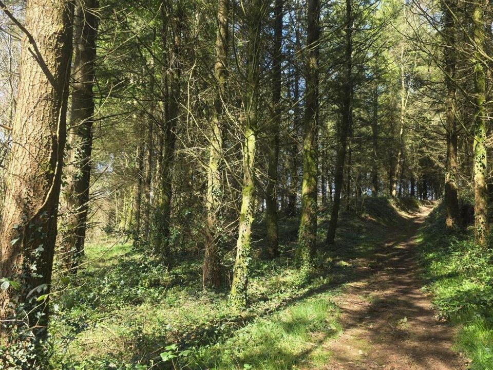 Helårsgrund i Silfiac, Morbihan - foto 3