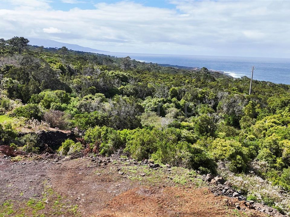 Helårsgrund i Sao Roque do Pico, Pico - foto 5