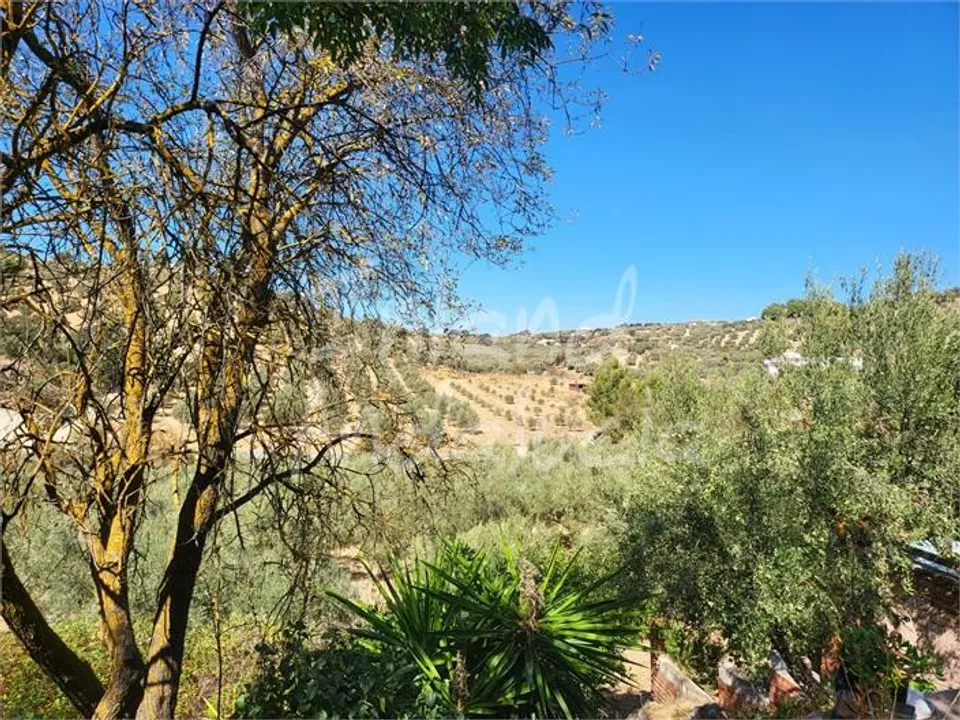 Cortijo i Antequera, Malaga - foto 5
