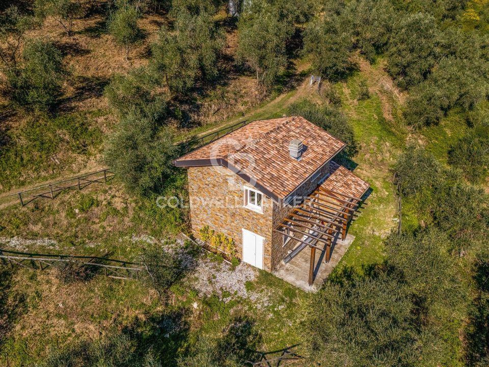 Erhvervsejendom i Massarosa, Lucca - foto 1