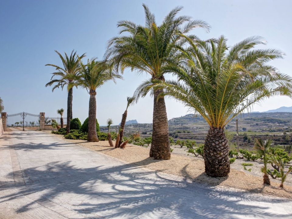 Finca i Moraira, Alicante - foto 3