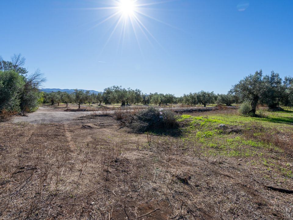 Finca i La Galera, Tarragona - bilde 5