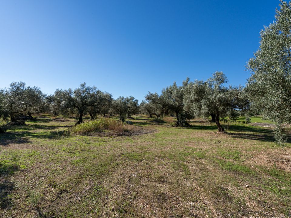 Finca i La Galera, Tarragona - bilde 4
