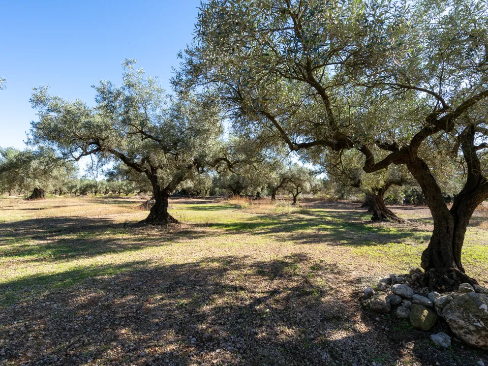 Finca i La Galera, Tarragona - bilde 1