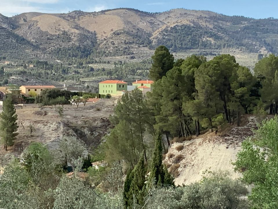 Herregård i Quatretondeta, Alicante - bilde 3
