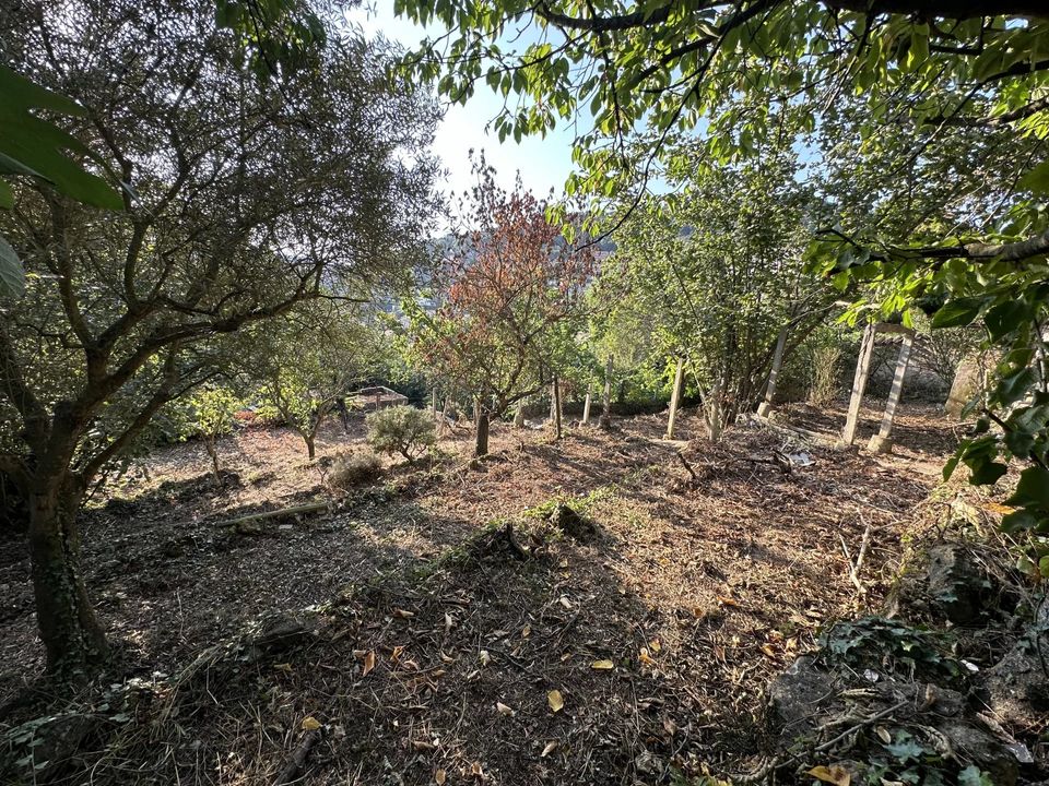 Villa i La Turbie, Alpes-Maritimes - foto 4