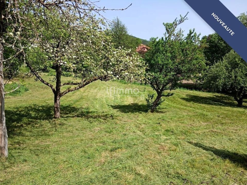 Helårsgrund i Sickert, Haut-Rhin - foto 2