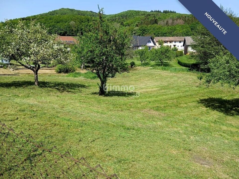 Helårsgrund i Sickert, Haut-Rhin - foto 3