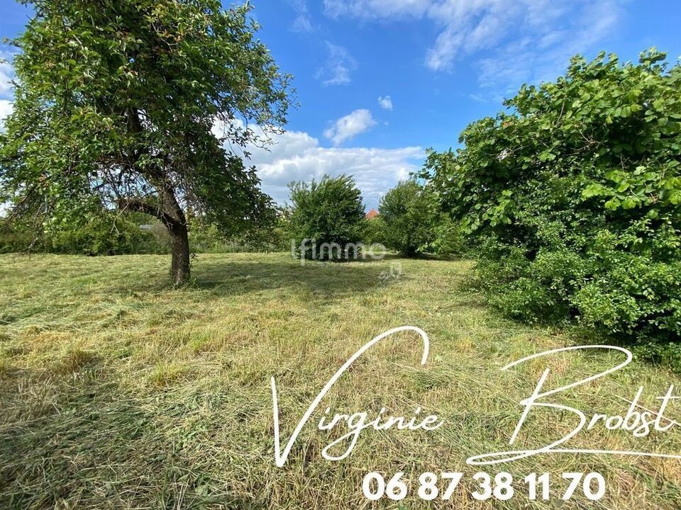 Helårsgrund i Rohrbach-les-Bitche, Moselle - foto 4