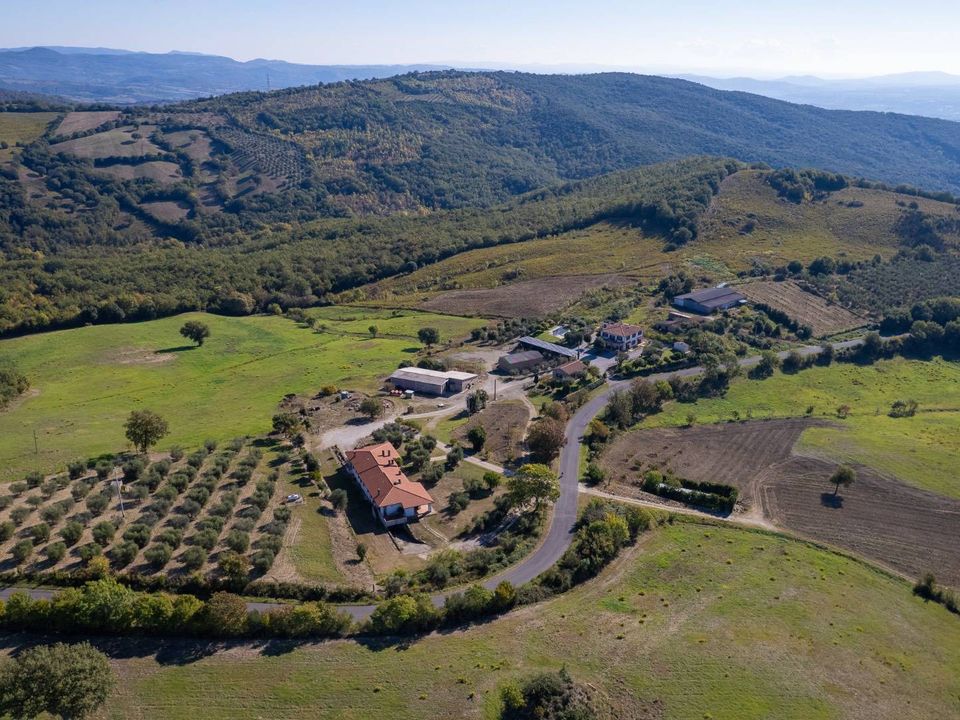 Villa i Scansano, Grosseto - foto 5