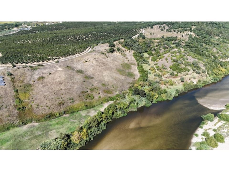 Terra a Sao Vicente do Paul, Santarem - foto 4