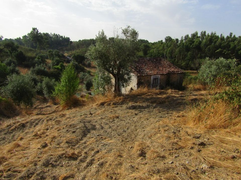 Landejendom i Mouriscas, Santarem - foto 1
