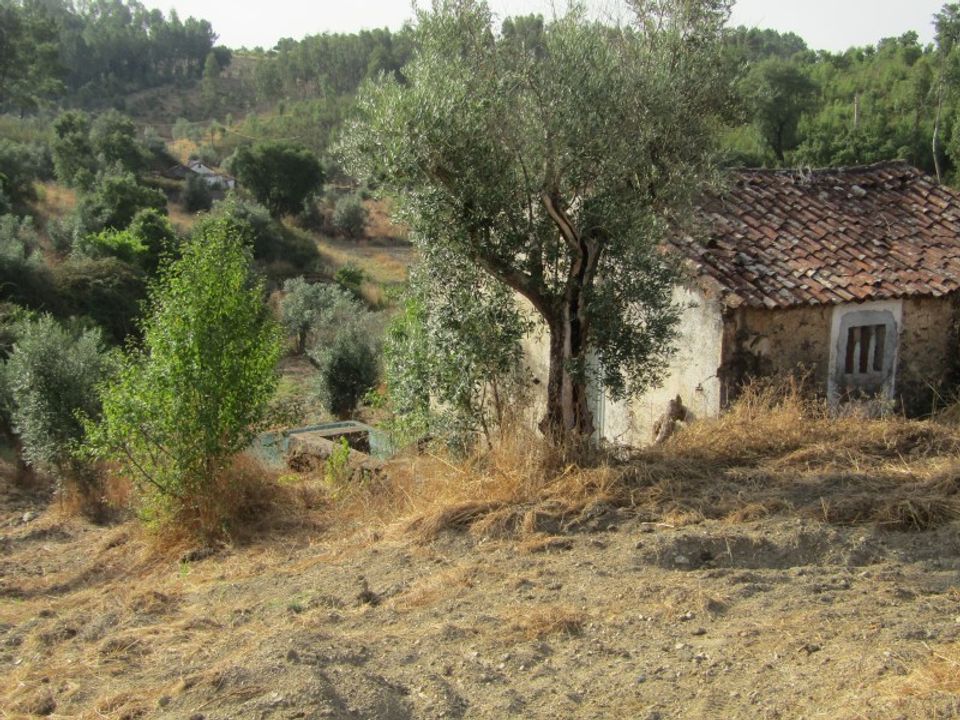 Landejendom i Mouriscas, Santarem - foto 2