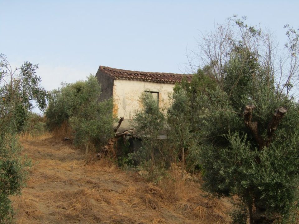 Landejendom i Mouriscas, Santarem - foto 3