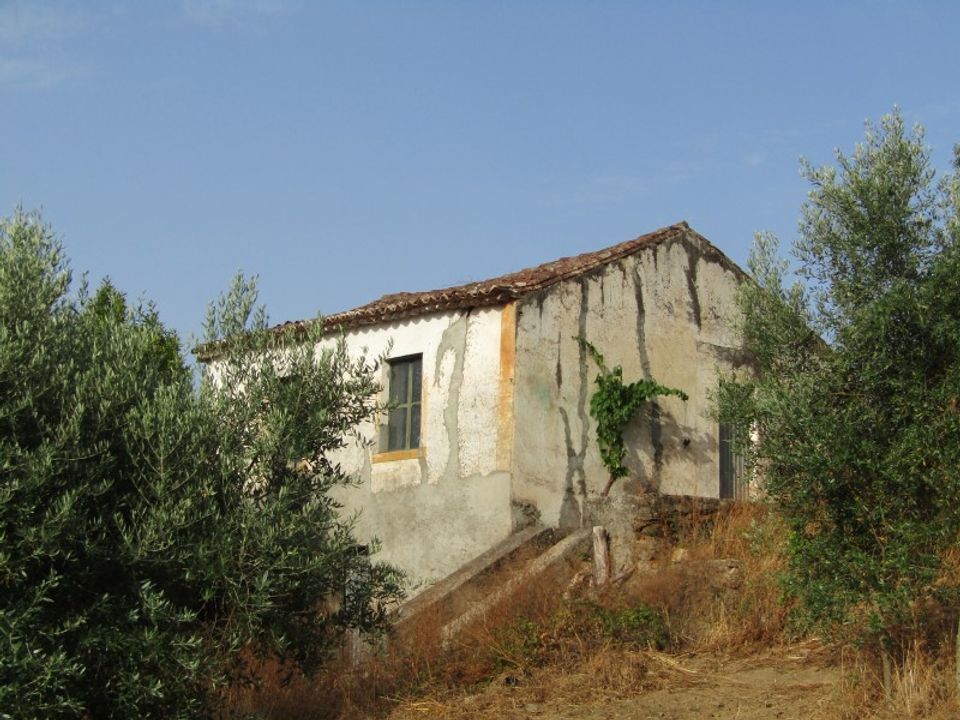 Landejendom i Mouriscas, Santarem - foto 5
