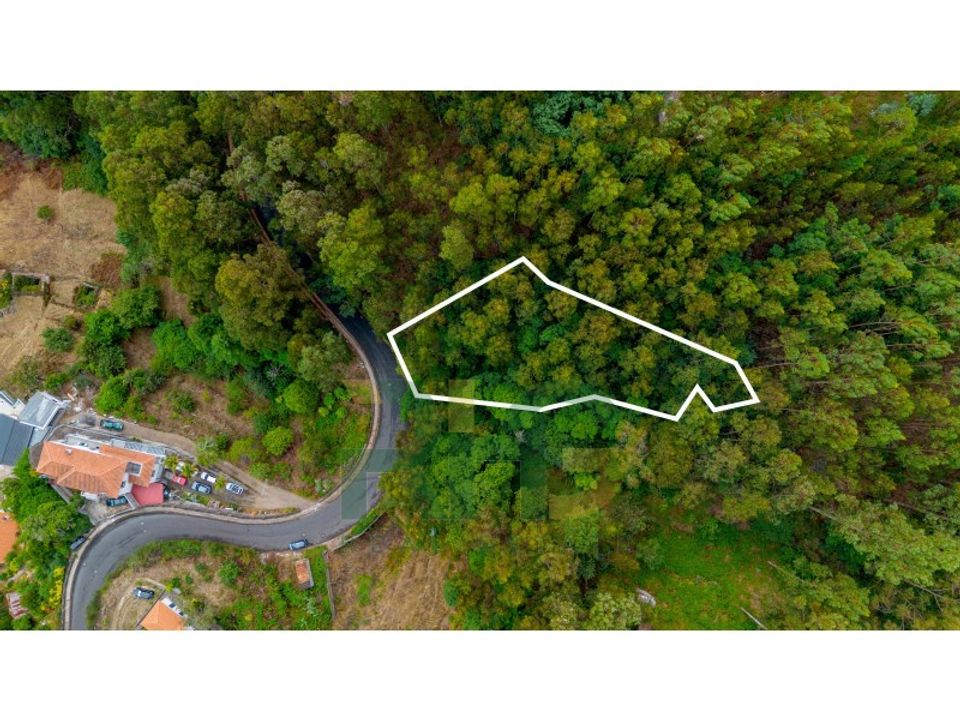 Helårsgrund i Camacha, Madeira - foto 1