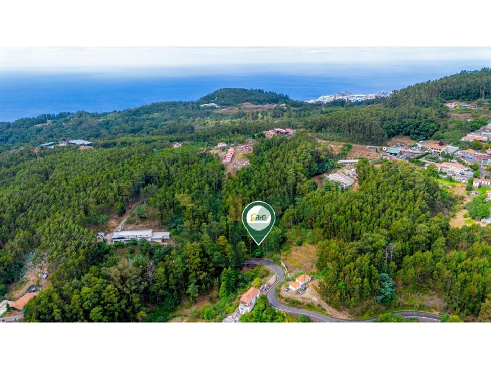 Helårsgrund i Camacha, Madeira - foto 2