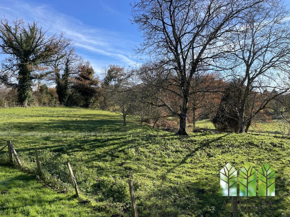 Villa i Mortroux, Creuse - foto 4