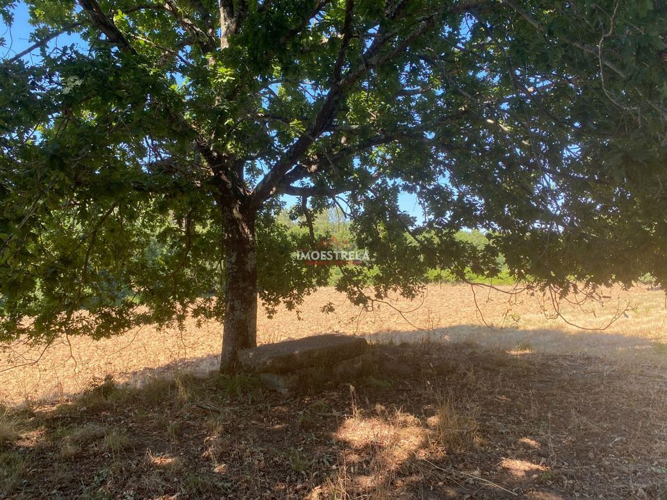 Villa i Seia, Guarda - foto 4