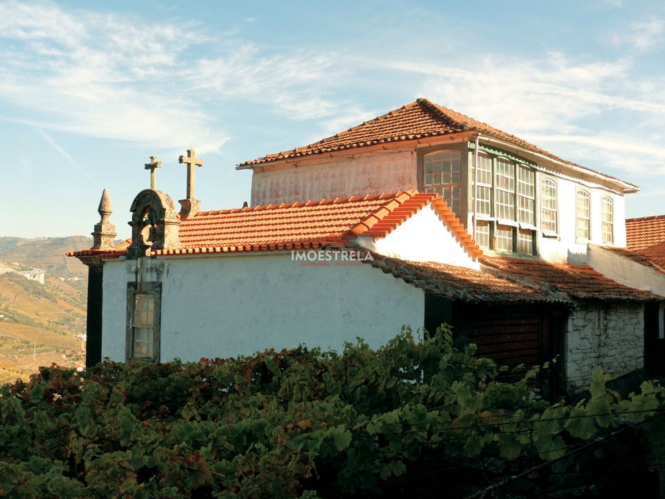 Gård i Peso da Regua, Vila Real - bilde 2