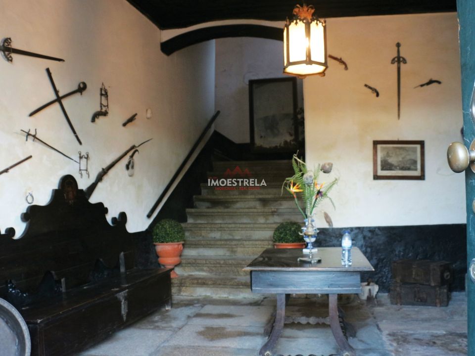 Gård i Peso da Regua, Vila Real - bilde 5