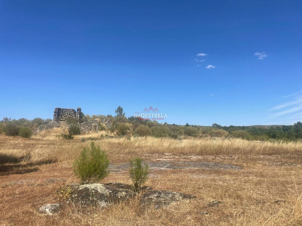 Farm i Pinhel, Guarda - foto 3