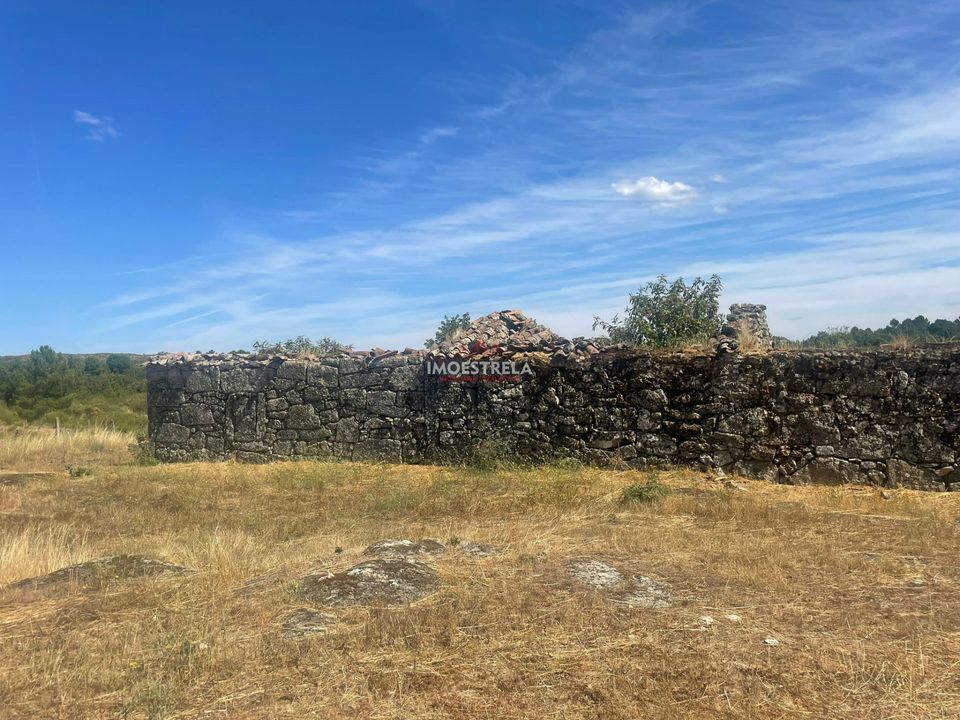 Farm i Pinhel, Guarda - foto 4