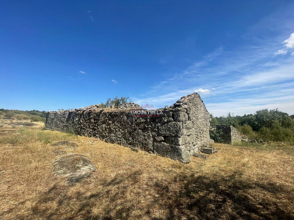 Farm i Pinhel, Guarda - foto 5