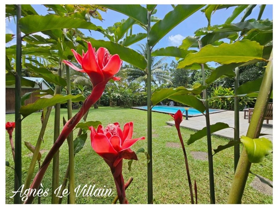 Villa i Sainte-Rose, Guadeloupe - foto 2