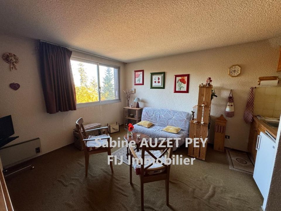 Apartament a Selonnet, Alpes-de-Haute-Provence - foto 1
