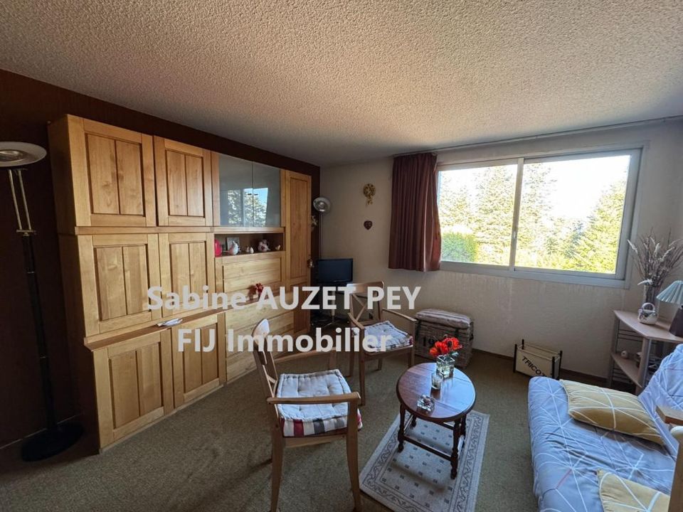 Apartament a Selonnet, Alpes-de-Haute-Provence - foto 2