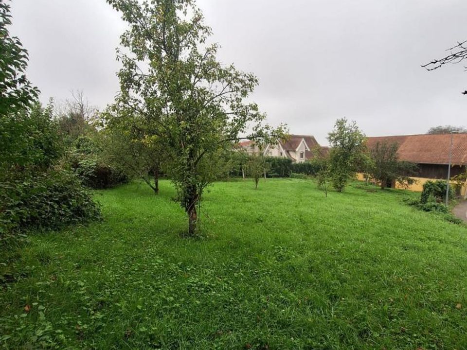 Tomt i Heidwiller, Haut-Rhin - bilde 1