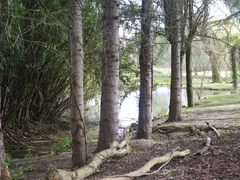 Villa a Saint-Jean-Poutge, Gers - foto 5