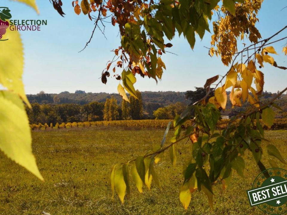 Helårsgrund i Pellegrue, Gironde - foto 1