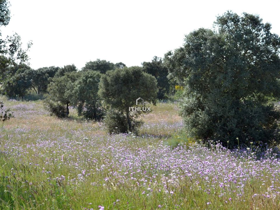 Helårsgrund i Elvas, Portalegre - foto 1