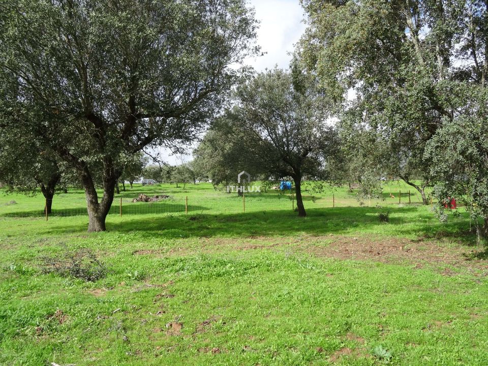 Helårsgrund i Elvas, Portalegre - foto 3