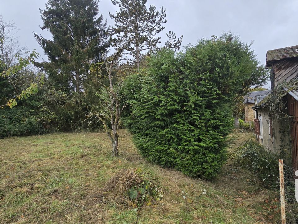 Masia a Couetron-au-Perche, Loir-et-Cher - foto 3