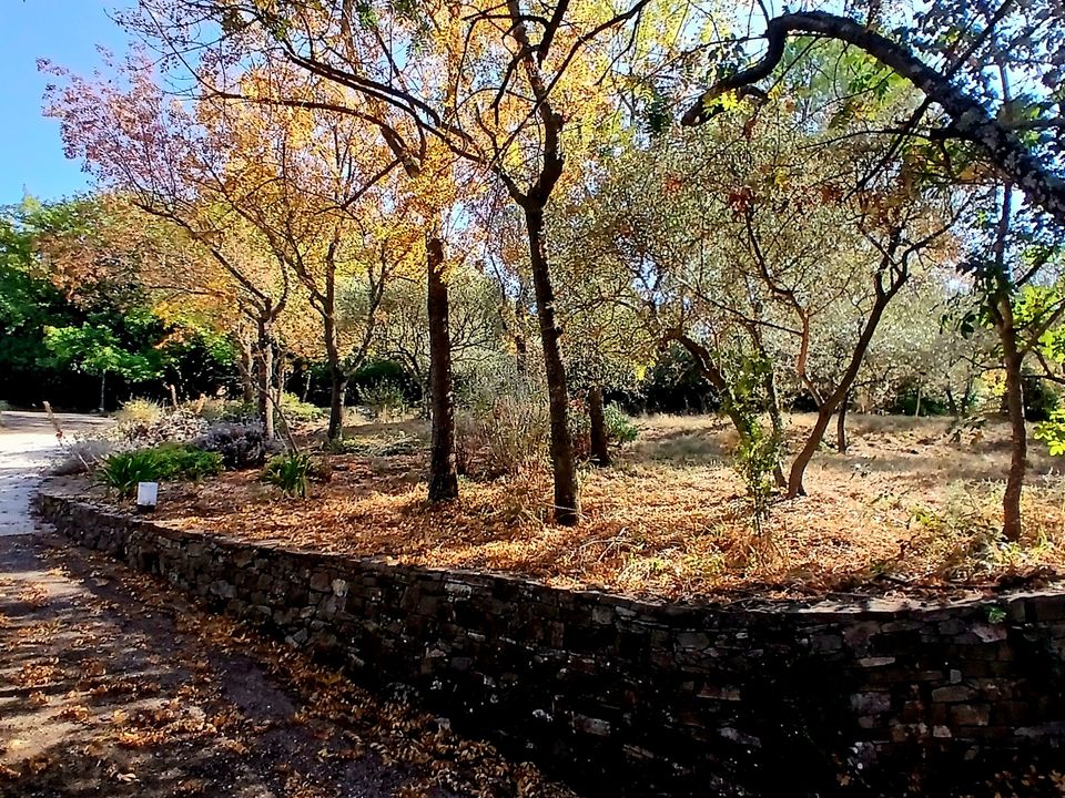 Villa i Clermont l'Herault, Herault - foto 4