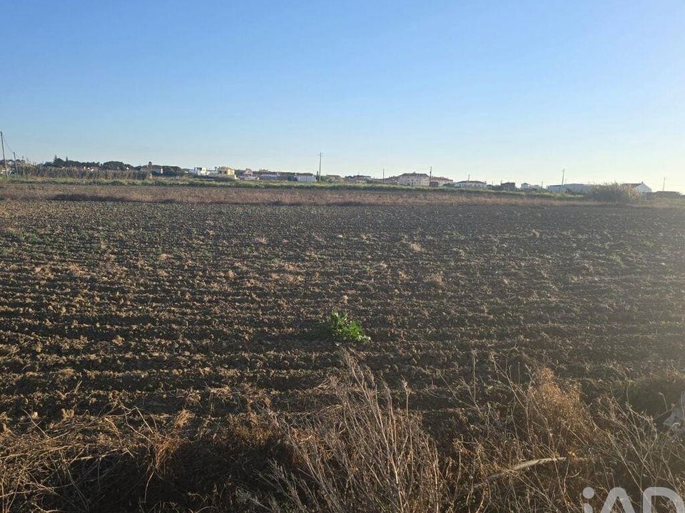 Terra a Peniche, Leiria - foto 1
