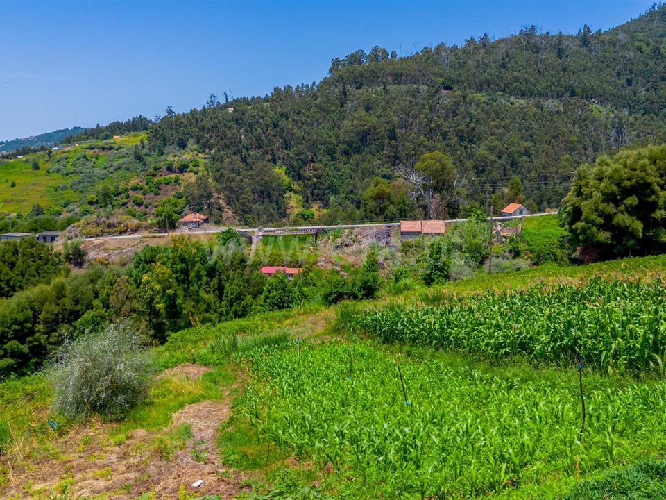 Helårsgrund i Calheta, Madeira - foto 4