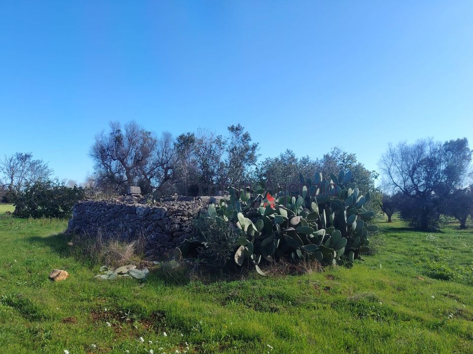 Helårsgrund i San Vito dei Normanni, Brindisi - foto 3