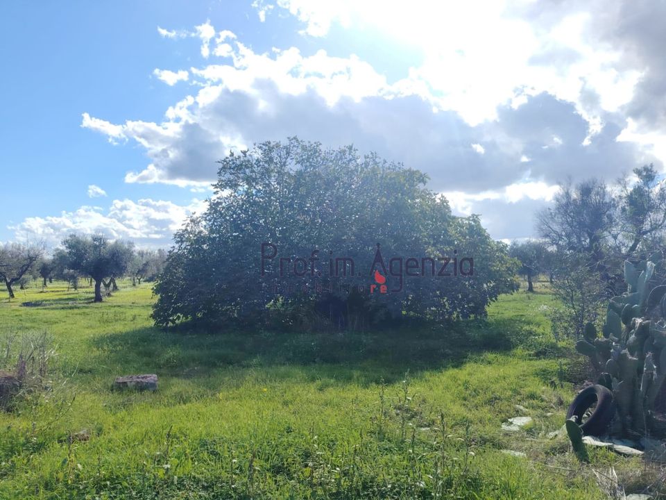 Helårsgrund i San Vito dei Normanni, Brindisi - foto 4