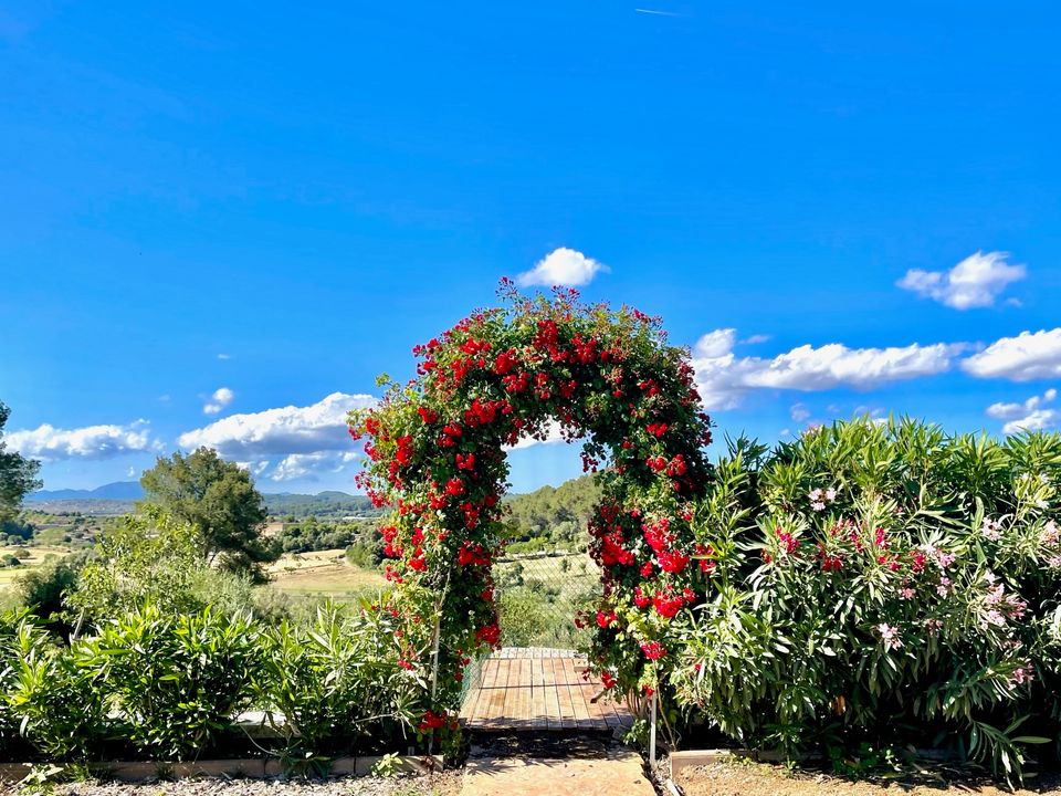 Villa i Sant Joan, Mallorca - foto 5