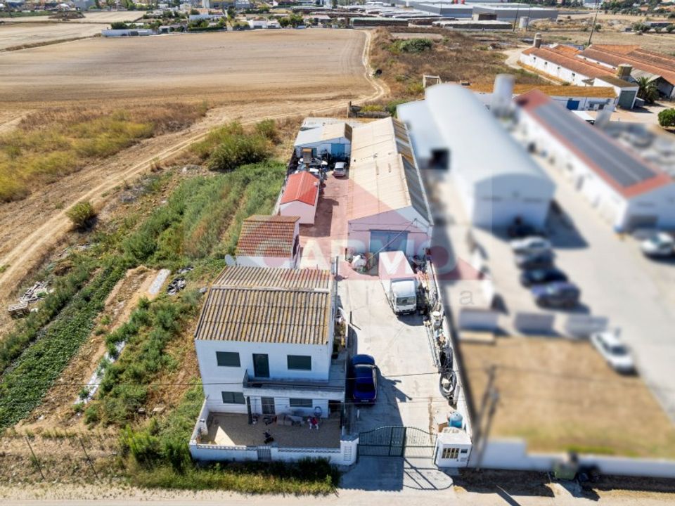Farm i Montijo, Setubal - foto 2