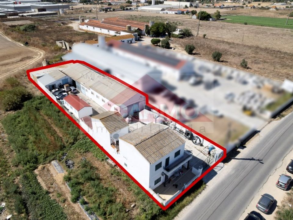 Farm i Montijo, Setubal - foto 5