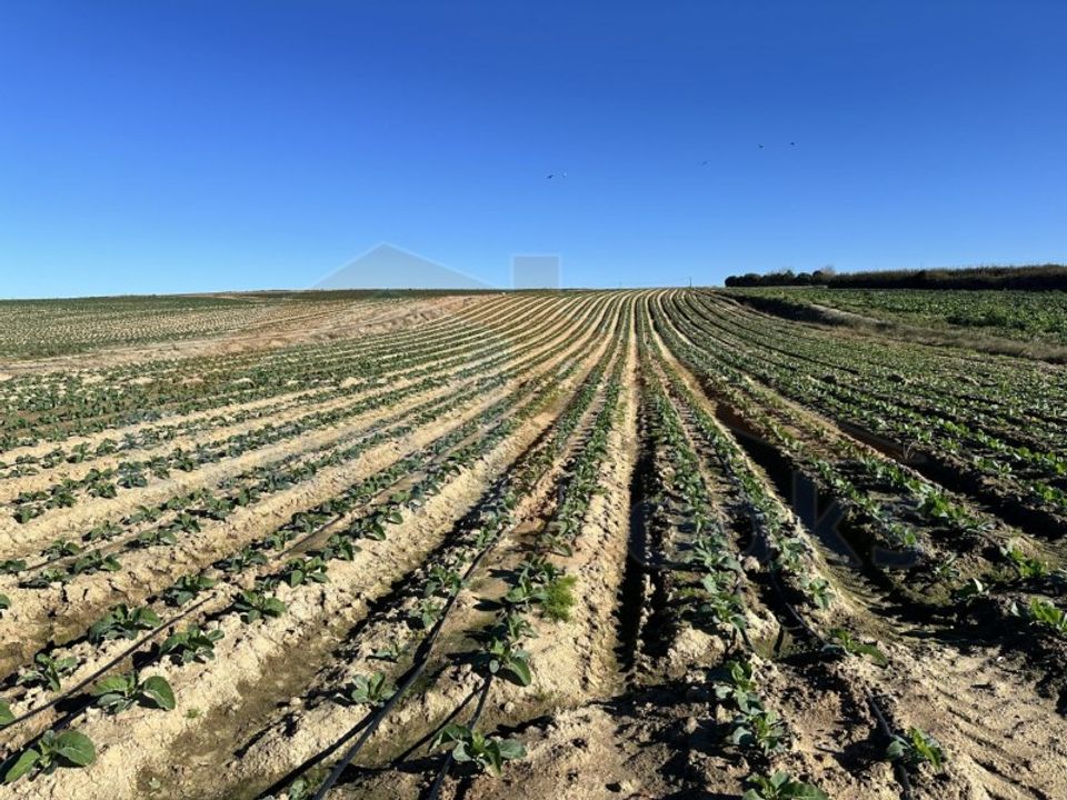 Helårsgrund i Atouguia da Baleia, Leiria - foto 3
