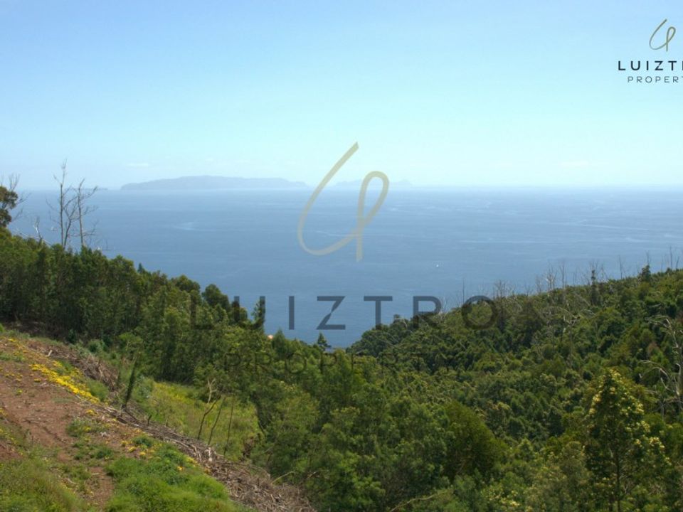 Helårsgrund i Gaula, Madeira - foto 2