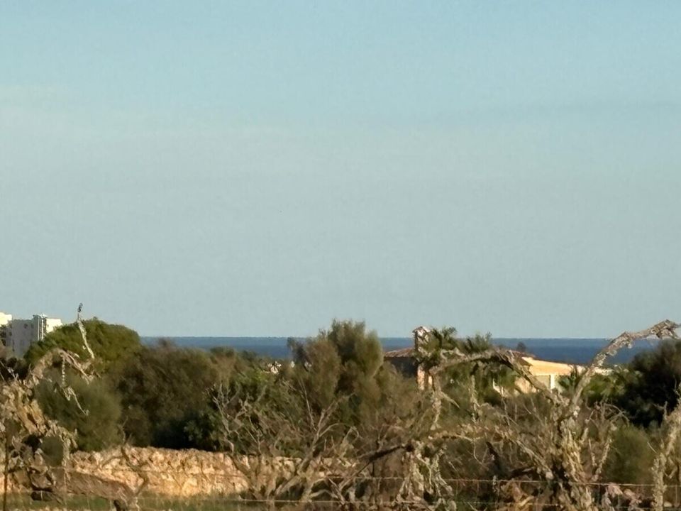 Helårsgrund i Sant Llorenc Des Cardassar, Mallorca - foto 2