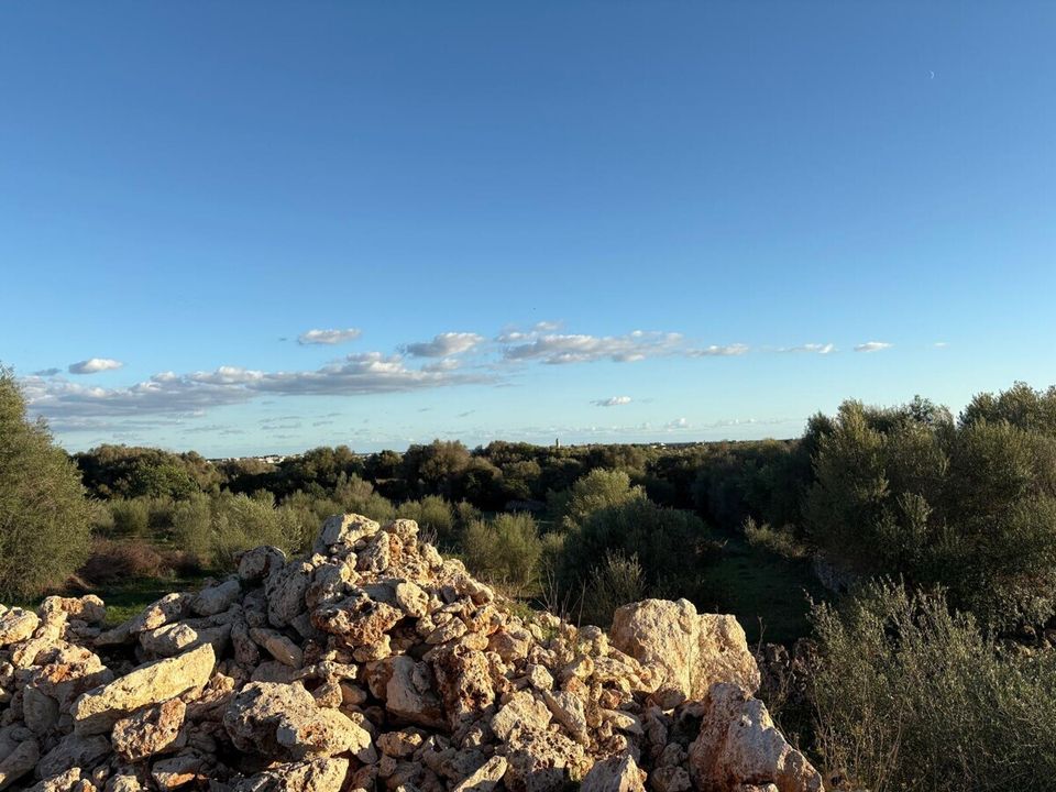 Helårsgrund i Sant Llorenc Des Cardassar, Mallorca - foto 3